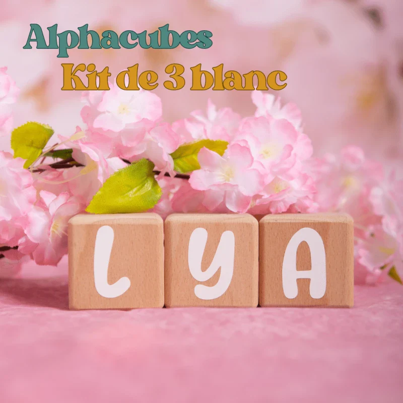 Alphacubes en Bois lot de 3 de 5cm x 5cm avec 47 Stickers blancs - Image 3