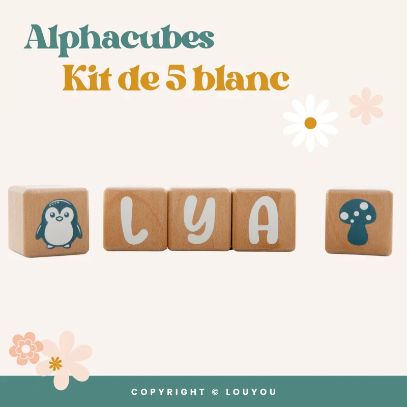 Alphacubes en Bois lot de 5 de 5cm x 5cm avec 66 Stickers blancs - Image 2