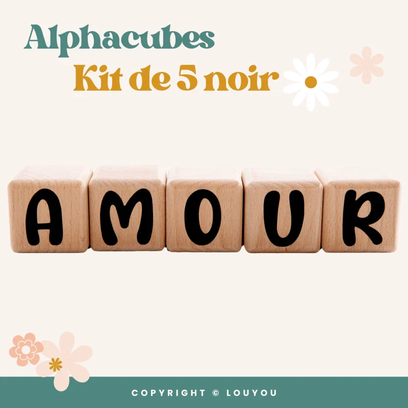 Alphacubes en Bois lot de 5 de 5cm x 5cm avec 66 Stickers noirs - Image 5