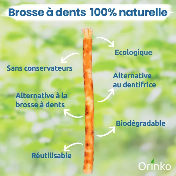 Bâtons de Siwak - Brosse à dents 100% naturelle  - lot de 4 - Image 3
