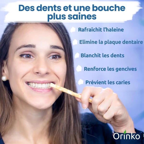 Bâtons de Siwak - Brosse à dents 100% naturelle  - lot de 4 - Image 4
