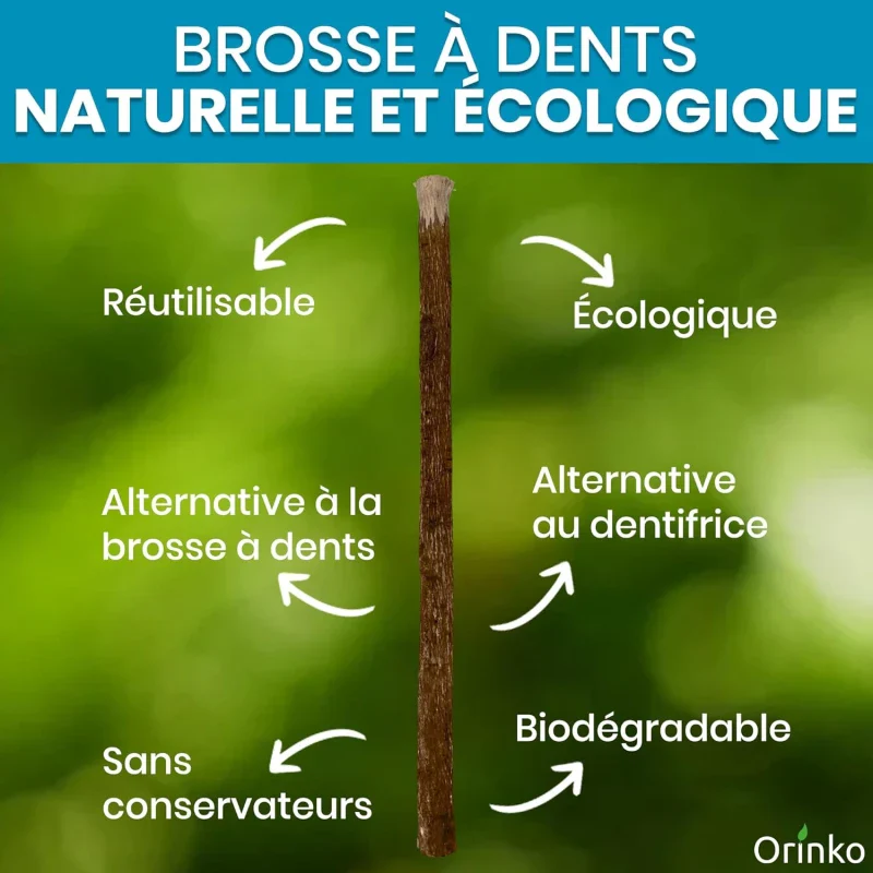 Bâtons de Siwak d'Olivier x5 + 1 Étui de Protection – Brosse à Dents 100% Naturelle - Image 3