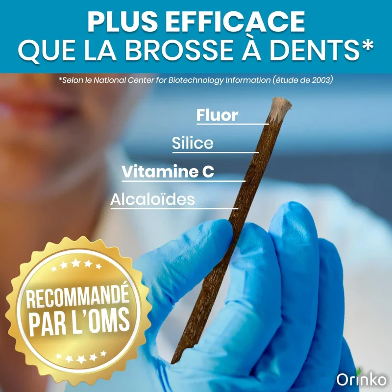 Bâtons de Siwak d'Olivier x5 + 1 Étui de Protection – Brosse à Dents 100% Naturelle - Image 5