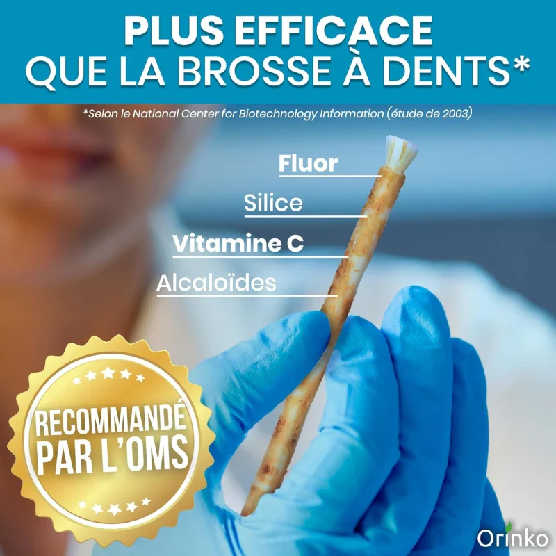 Bâtons de Siwak (Miswak) x3 – Brosse à Dents 100% Naturelle - Image 5