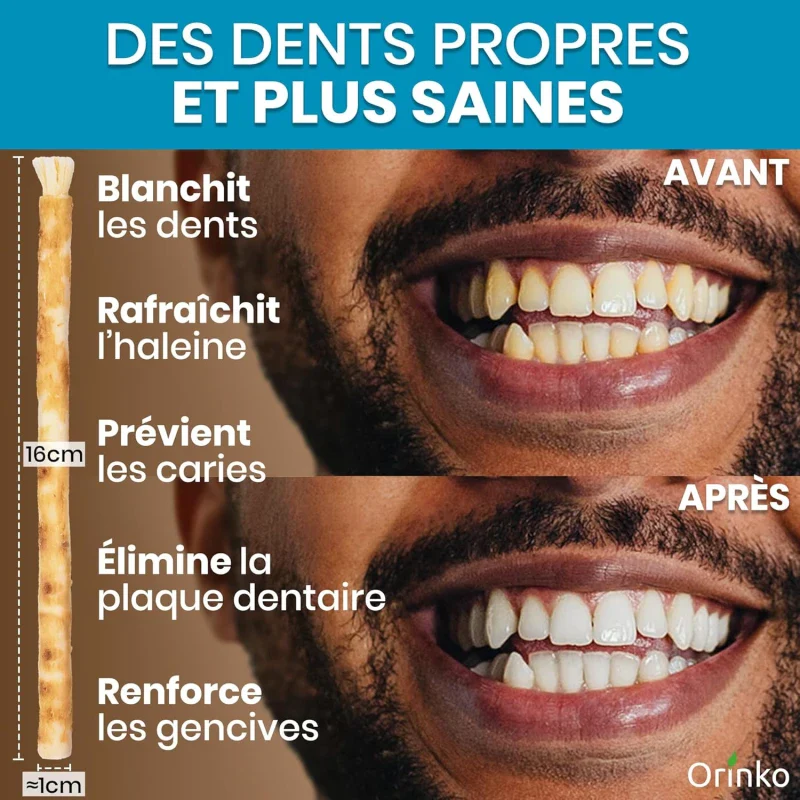 Bâtons de Siwak (Miswak) x7 – Brosse à Dents 100% Naturelle - Image 2