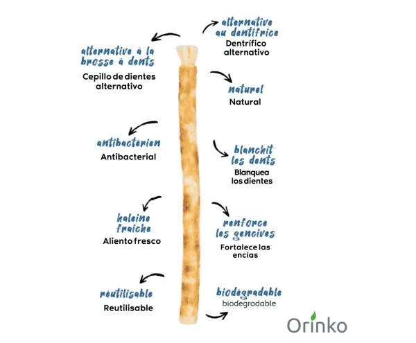 Bâtons de Siwak x6 - Brosse à dents 100% naturelle - Miswak - Image 8
