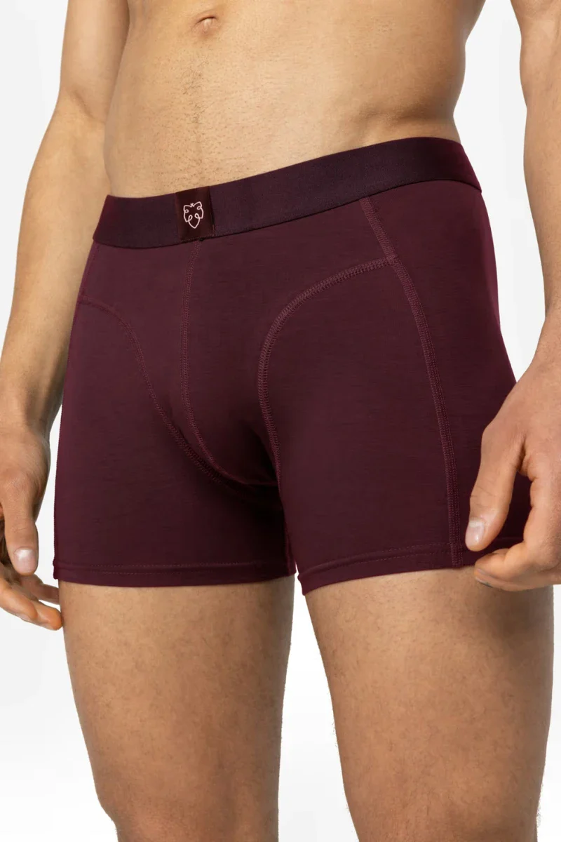 Pack de 3 Boxer - plusieurs couleurs - Image 4