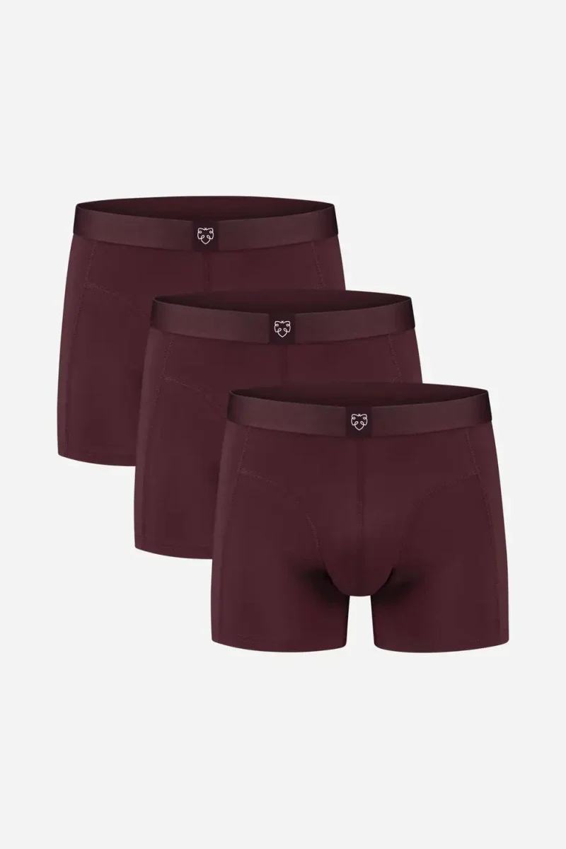 Pack de 3 Boxer - plusieurs couleurs - Image 5