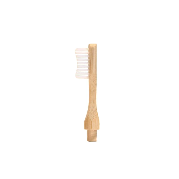 Brosse à dents à tête interchangeable en bambou - Image 3