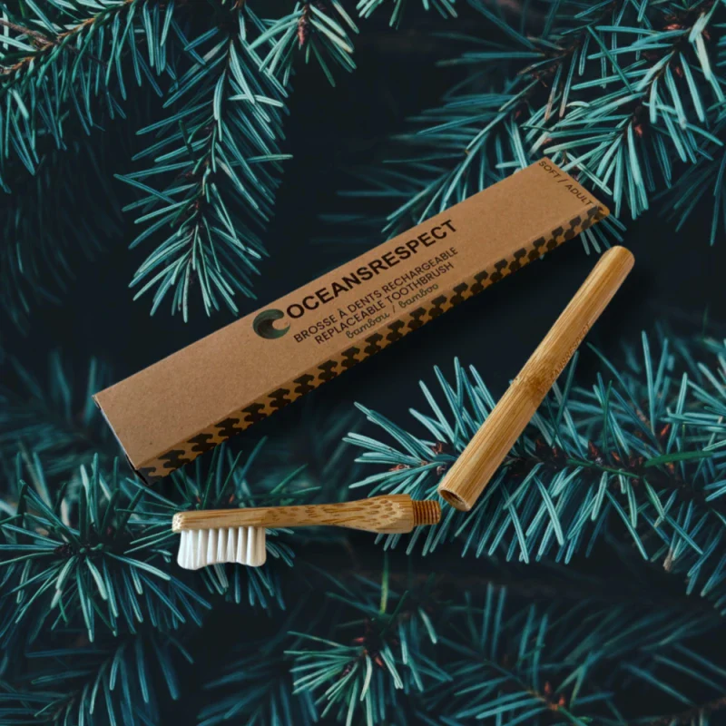 Brosse à dents à tête interchangeable en bambou - Image 7