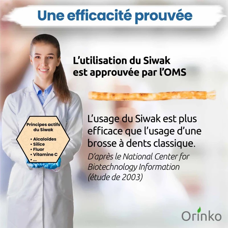 Brosse à Dents en Siwak 100% Naturelle – Écologique et Artisanale - Image 11