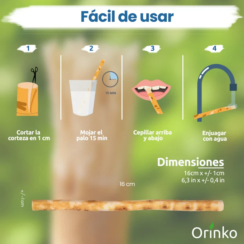 Brosse à Dents en Siwak 100% Naturelle – Écologique et Artisanale - Image 4
