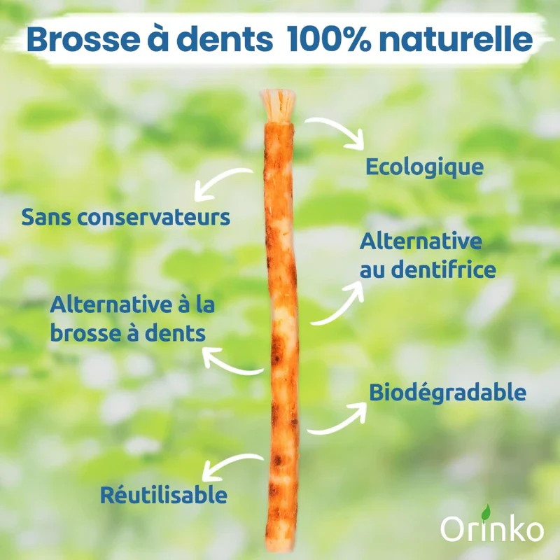 Brosse à Dents en Siwak 100% Naturelle – Écologique et Artisanale - Image 8