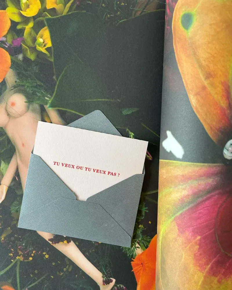 Carte "coquine" - Tu veux ou tu veux pas ? - Image 4