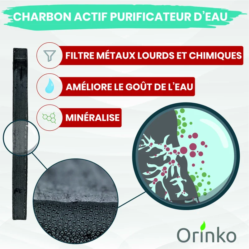 Charbon Actif De Bambou Takesumi - Lot de 4 - Image 3