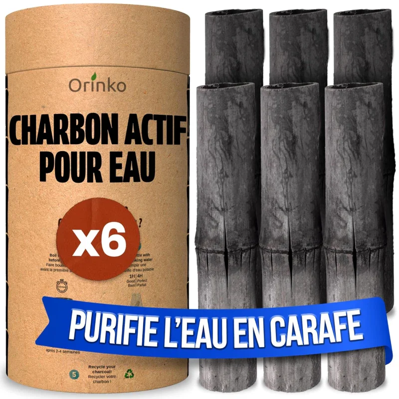 Charbon Actif de Bambou - Takesumi  x6 (XL) - Image 7