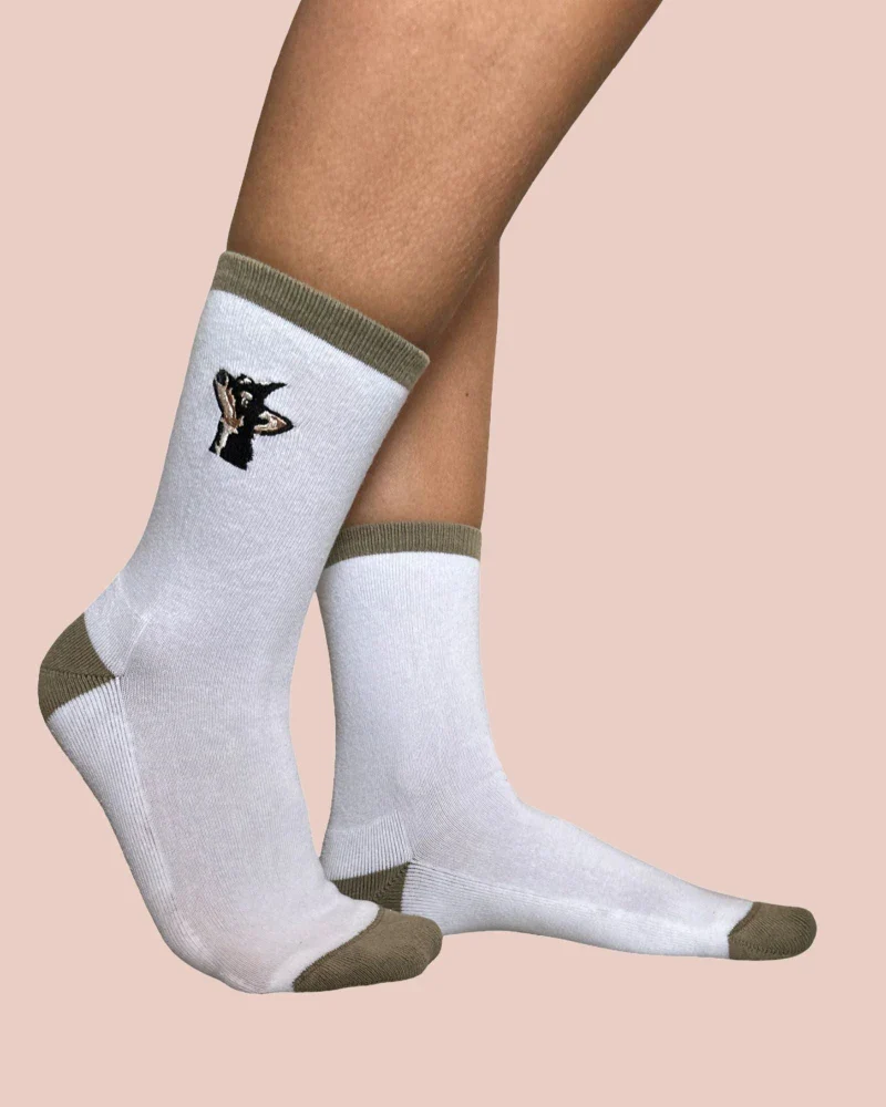 Chaussettes Blanche en coton bio - Doggie