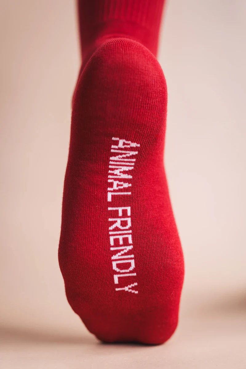 Chaussettes en coton biologique - Set de 5 couleurs - Image 2