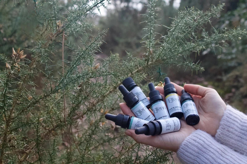 Coffret collection caméline – Elfenn Cosmétiques - Image 3