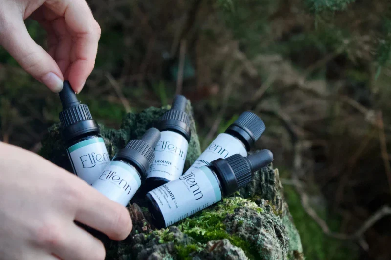 Coffret voyage soins visage avec caméline bio – Elfenn Cosmétiques - Image 3