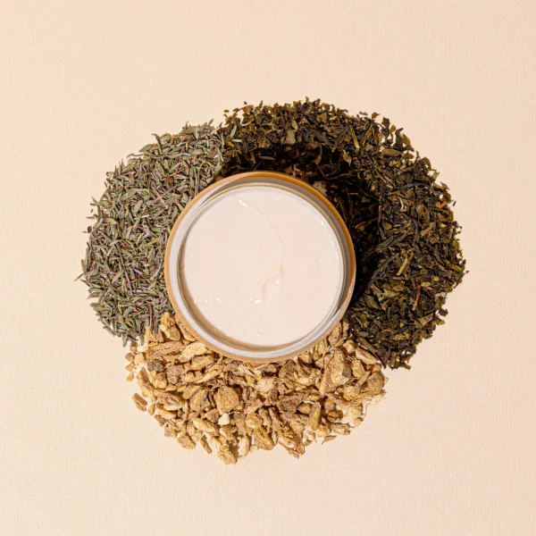 Crème Éclat Hydratante naturelle à base de plantes - Image 3