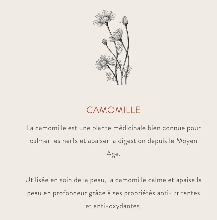 Crème Éclat Hydratante naturelle à base de plantes - Image 5