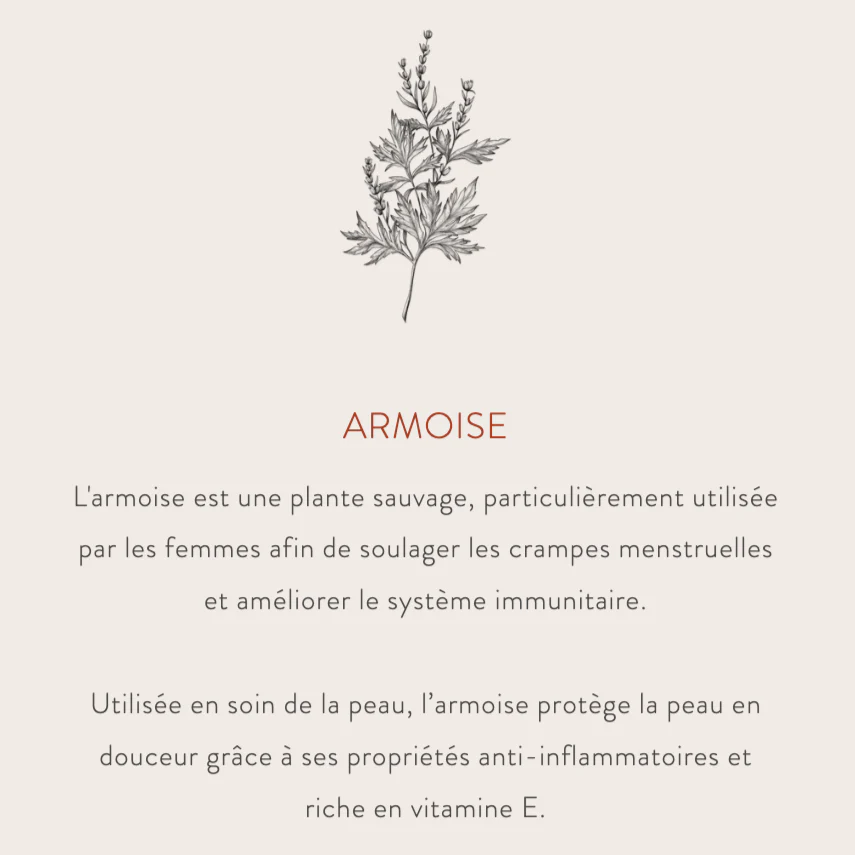 Crème Éclat Hydratante naturelle à base de plantes - Image 6