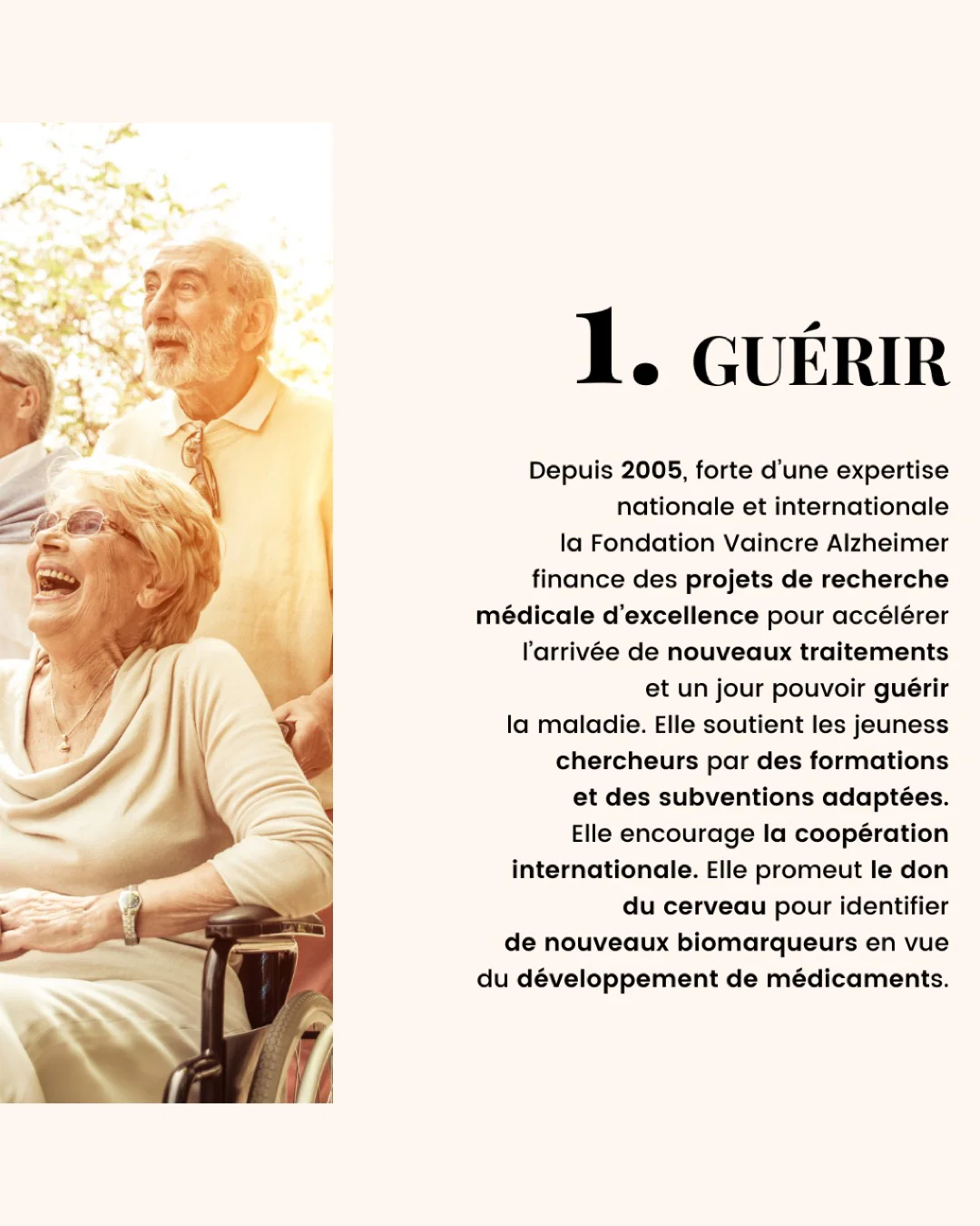 Soutien à la Fondation Vaincre Alzheimer - Montant au choix - Image 3