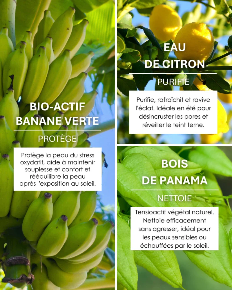 Gel Nettoyant à la Banane Verte 200ml I MUSACLEAN - Image 10