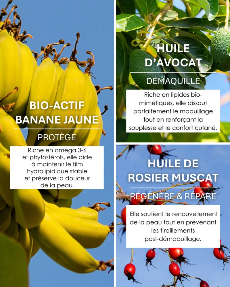 Huile Fondante Démaquillante Bio à la Banane Jaune 150ml - MUSACLEAN - Image 12