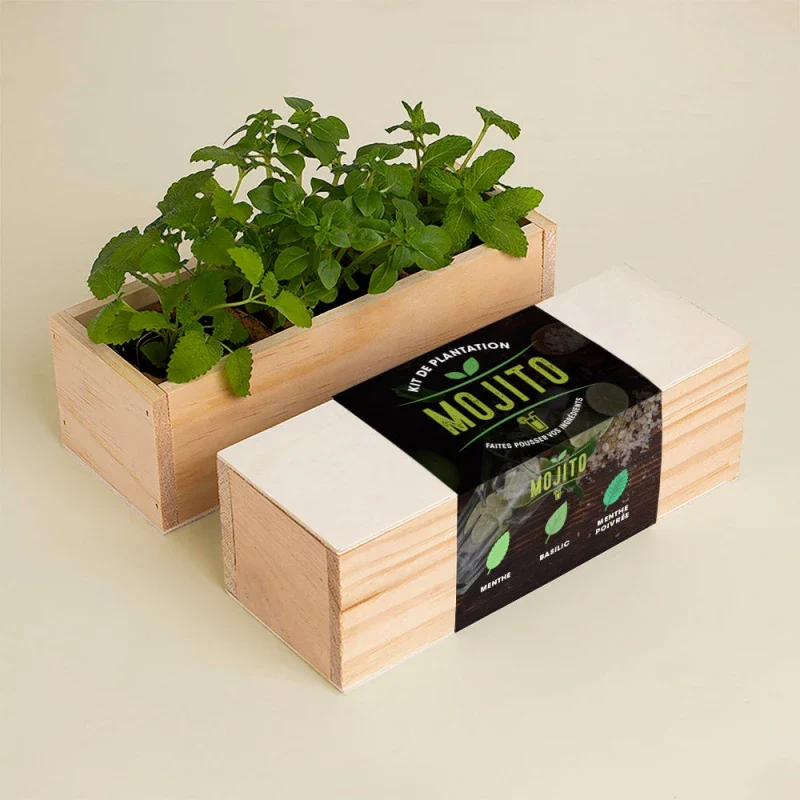 Kit de plantation culinaire - Image 10