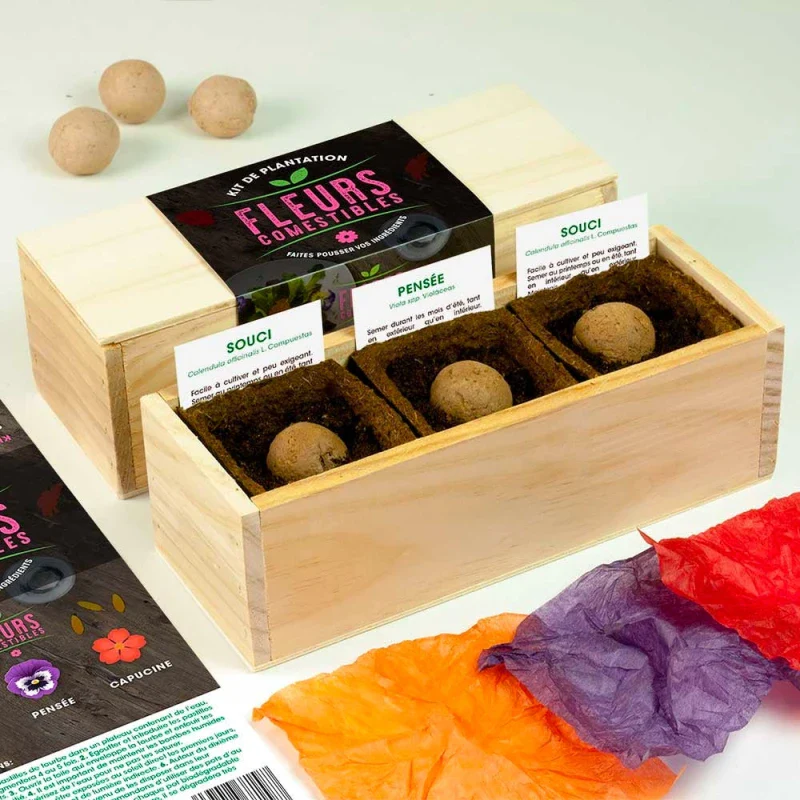 Kit de plantation culinaire - Image 11