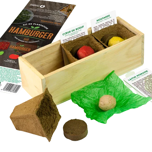 Kit de plantation culinaire - Image 2
