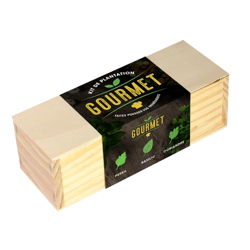 Kit de plantation culinaire - Image 3