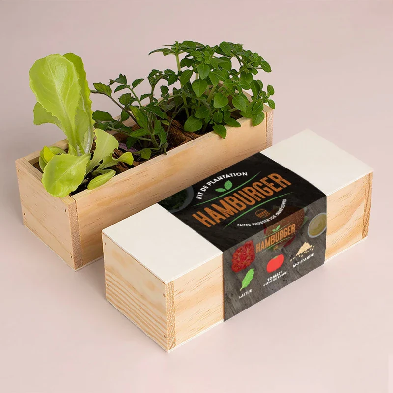 Kit de plantation culinaire - Image 7