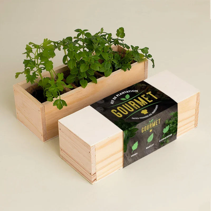 Kit de plantation culinaire - Image 9