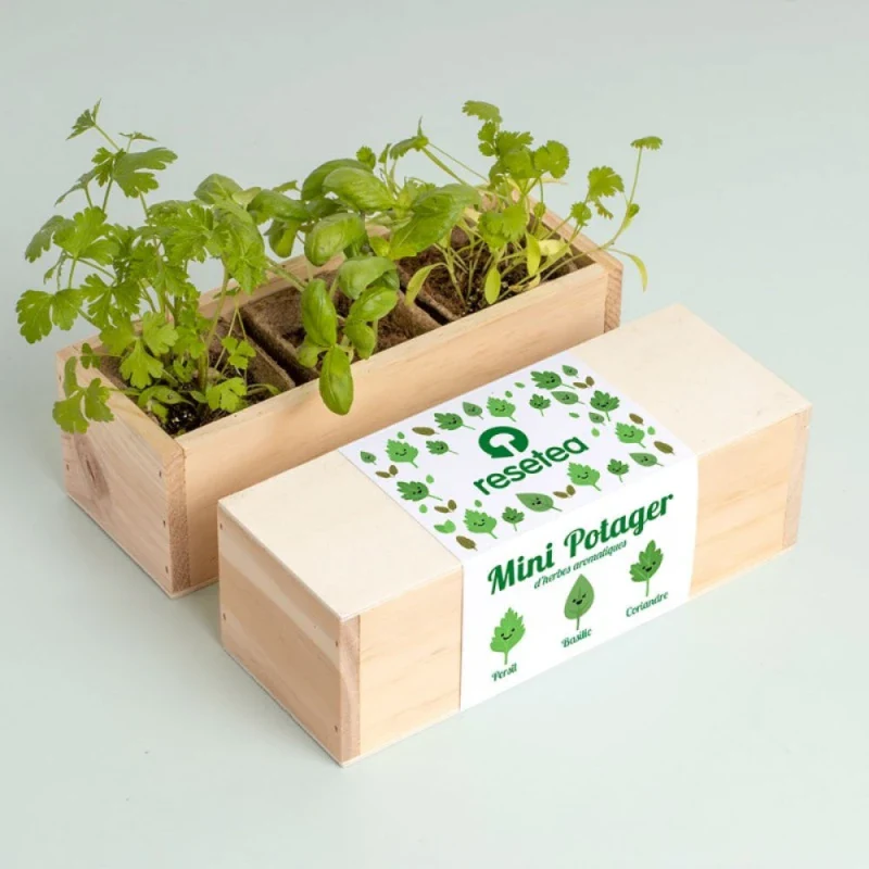 Kit de plantation - Mini Potager - Image 11