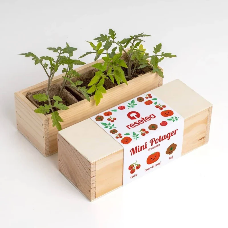 Kit de plantation - Mini Potager - Image 12