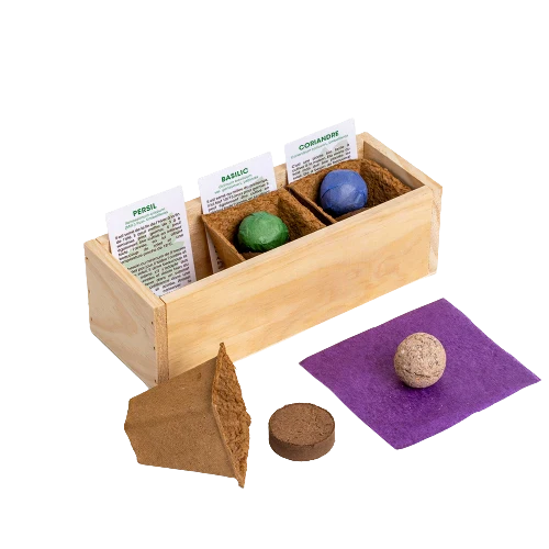 Kit de plantation - Mini Potager - Image 2