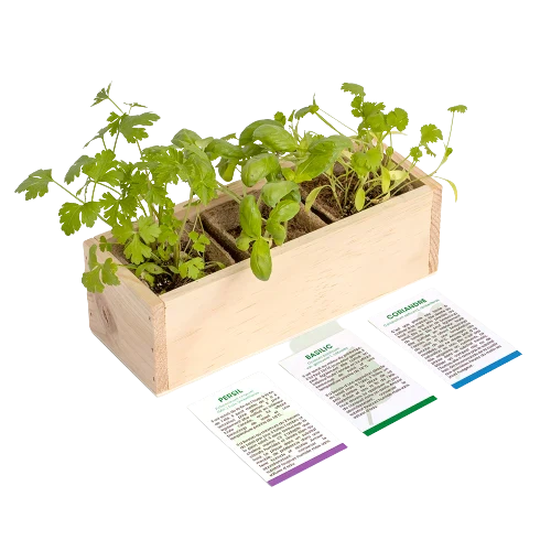 Kit de plantation - Mini Potager - Image 3