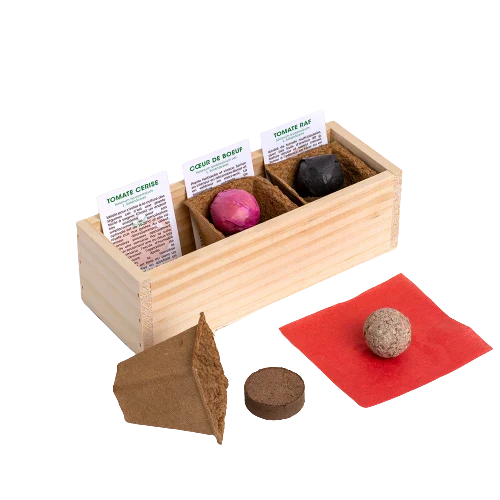 Kit de plantation - Mini Potager - Image 4