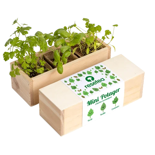 Kit de plantation - Mini Potager - Image 6