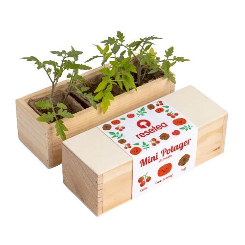 Kit de plantation - Mini Potager - Image 7