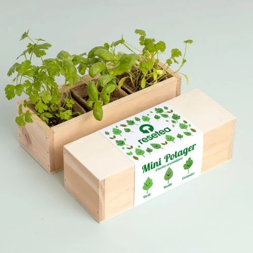 Kit de plantation - Mini Potager - Image 8