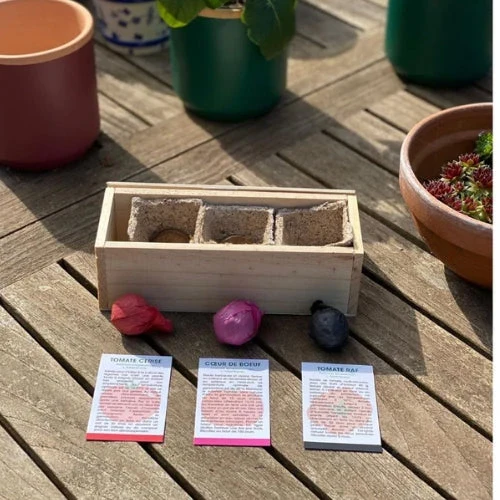 Kit de plantation - Mini Potager - Image 9