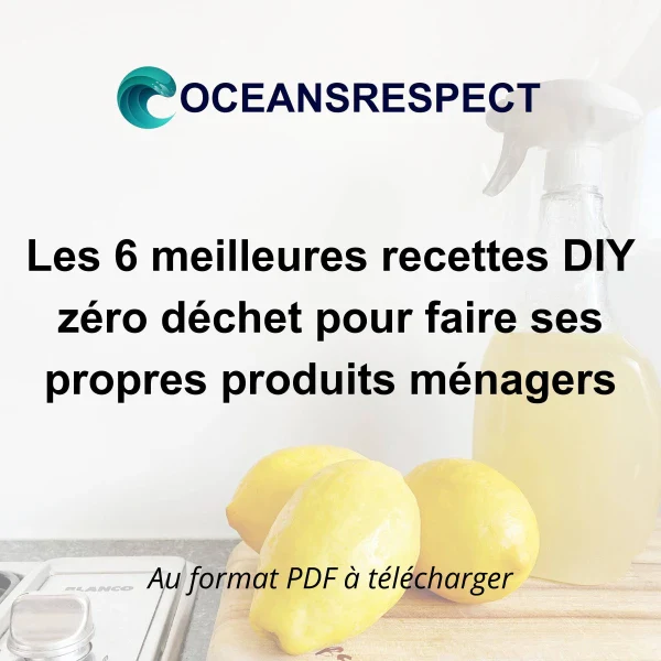 Les 6 meilleures recettes DIY zéro déchet pour faire ses propres produits ménagers - Image 2