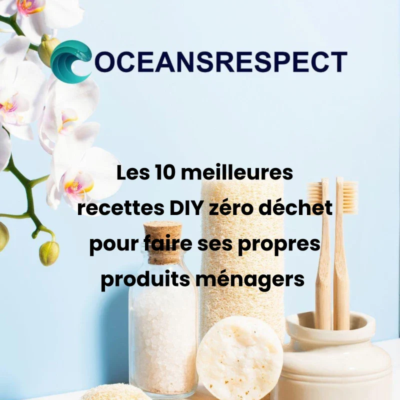 Les 6 meilleures recettes DIY zéro déchet pour faire ses propres produits ménagers - Image 3