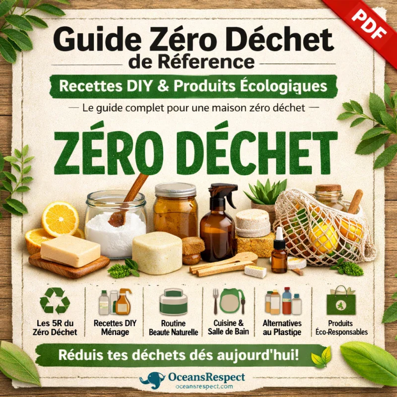Les 6 meilleures recettes DIY zéro déchet pour faire ses propres produits ménagers - Image 6