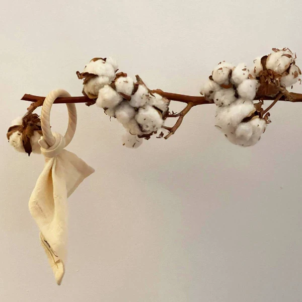 Doudou en coton bio & Anneau de dentition en bois | 5 coloris - Image 7
