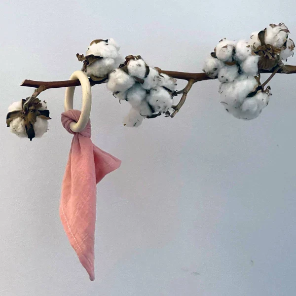 Doudou en coton bio & Anneau de dentition en bois | 5 coloris - Image 8